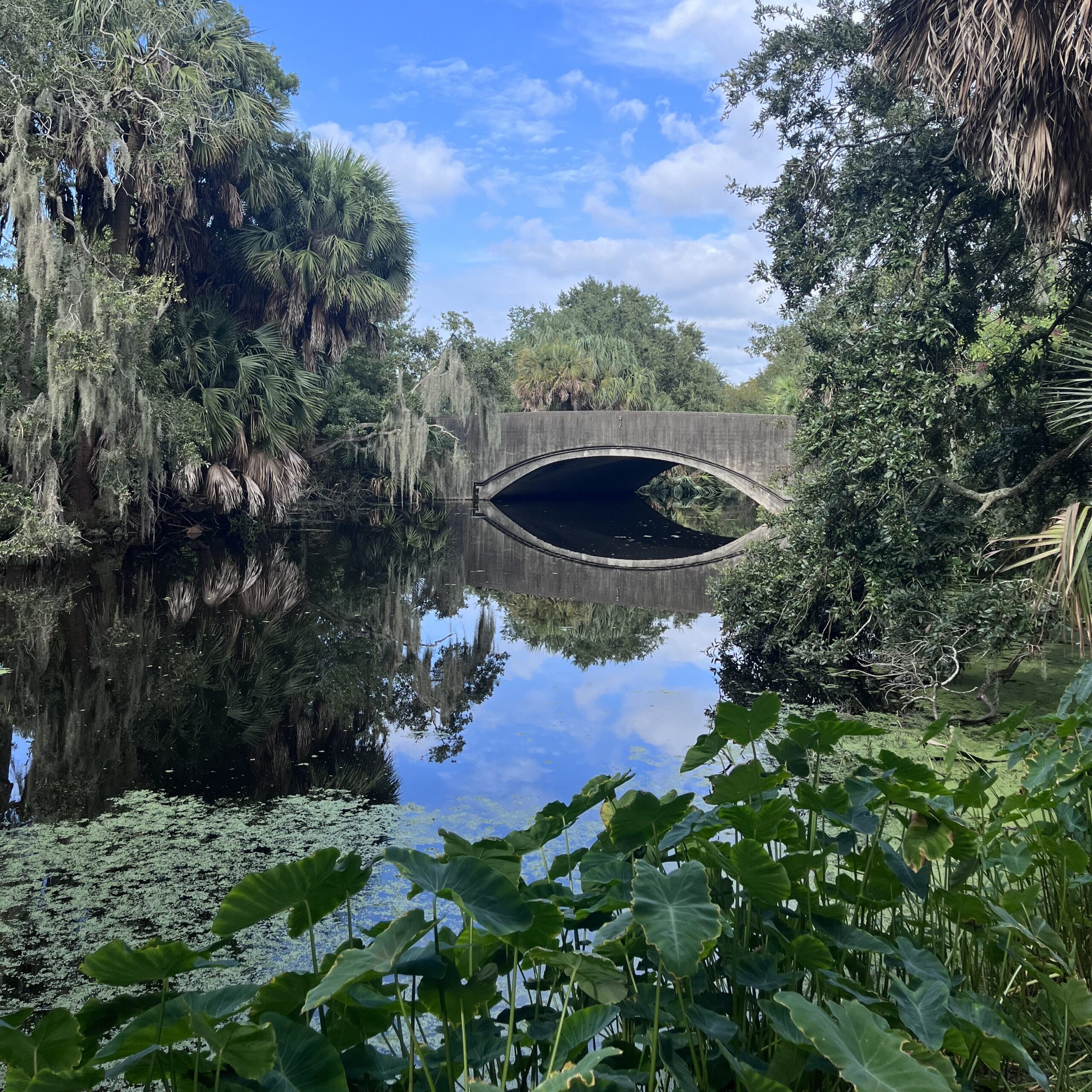 новый орлеан городской парк