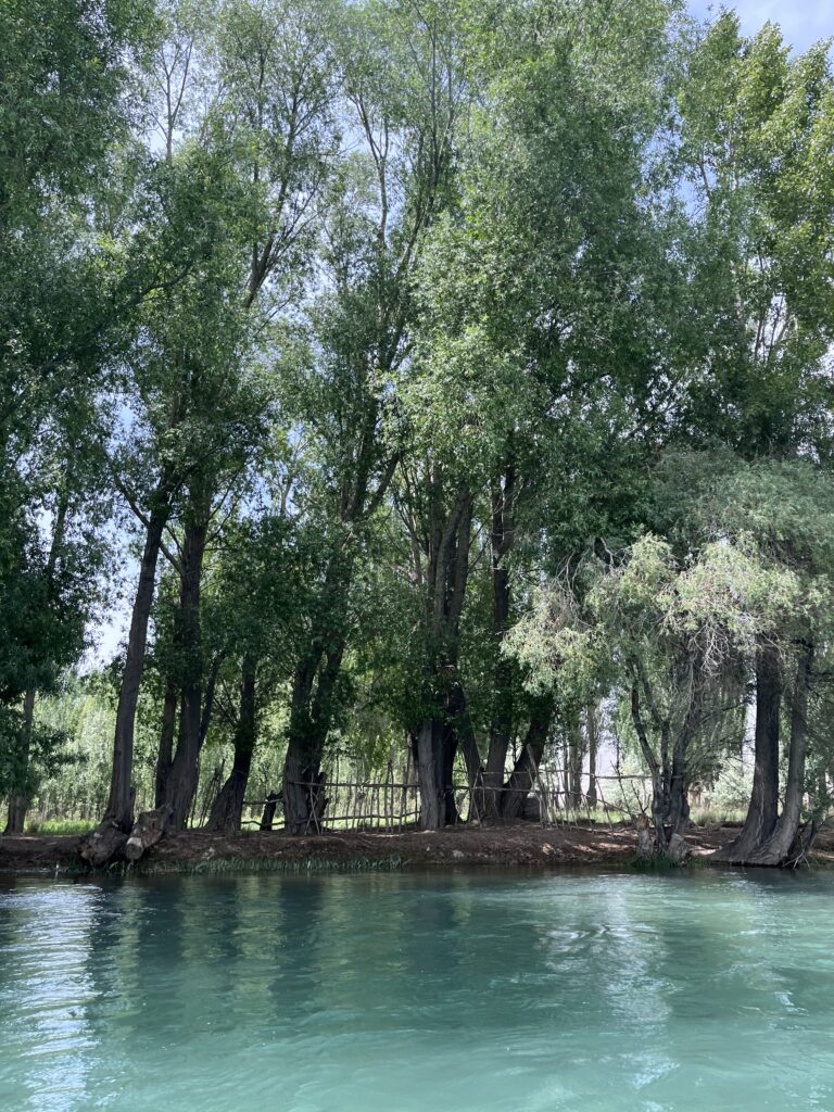 боомское ущелье река чу