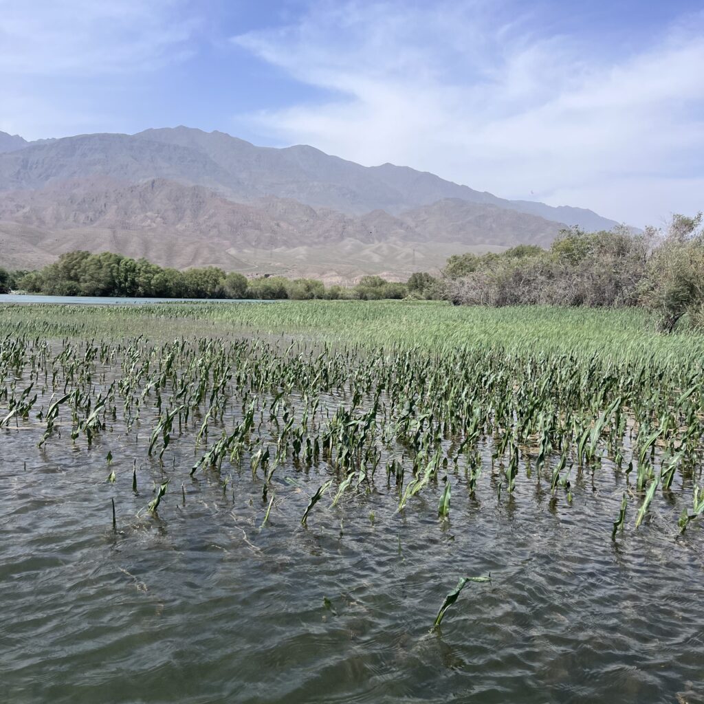 боомское ущелье река чу