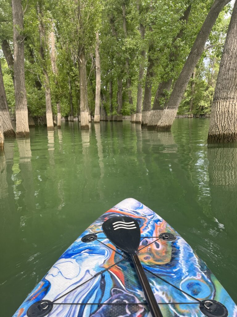 ала-арчинское водохранилище