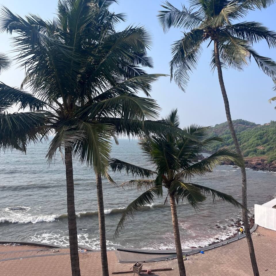 пляж Анджуна, Гоа