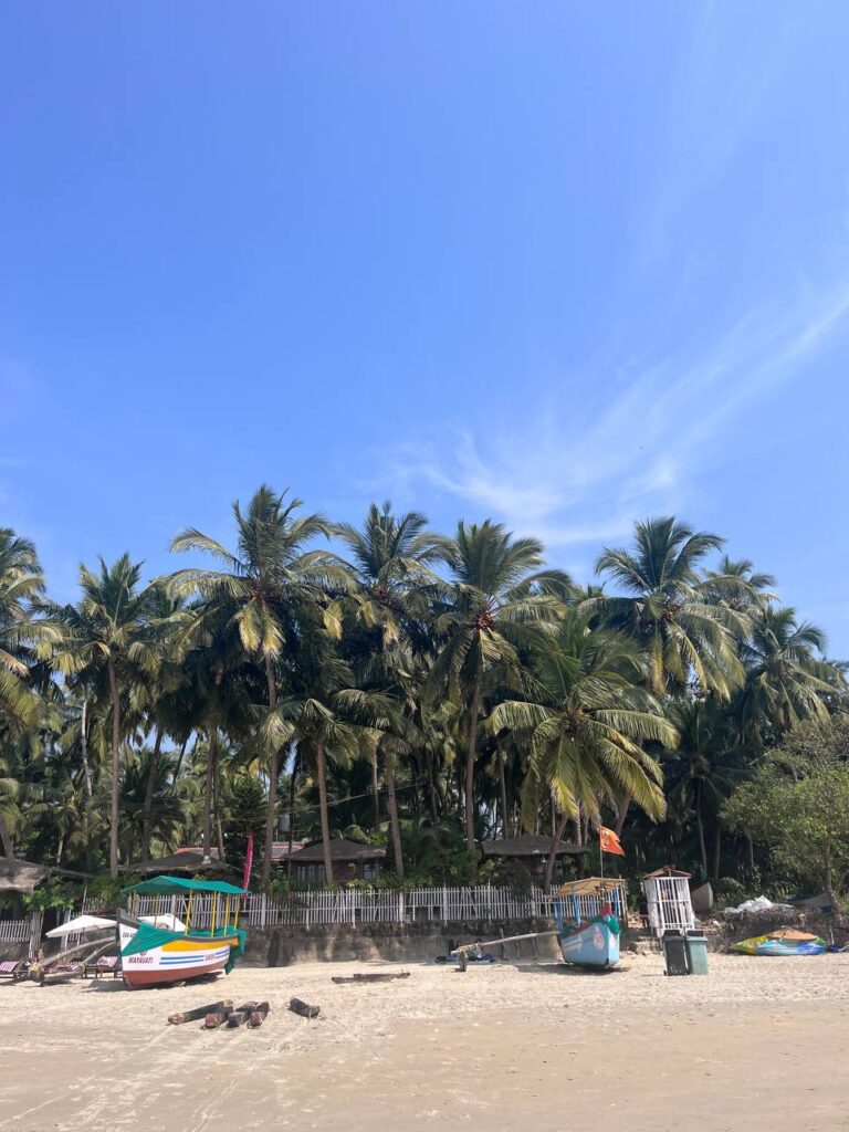 Палолем Гоа