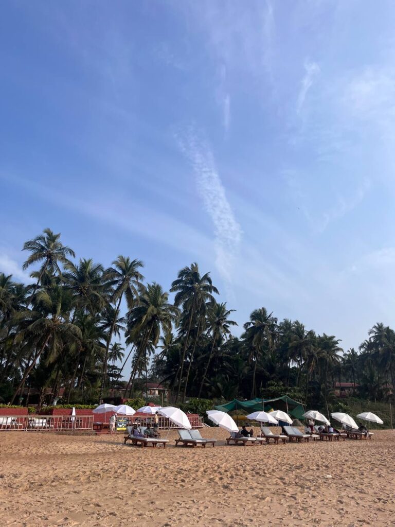 Калангут и Бага