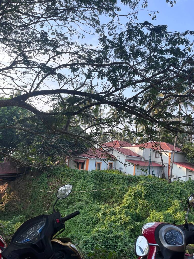 Кандолим, Гоа