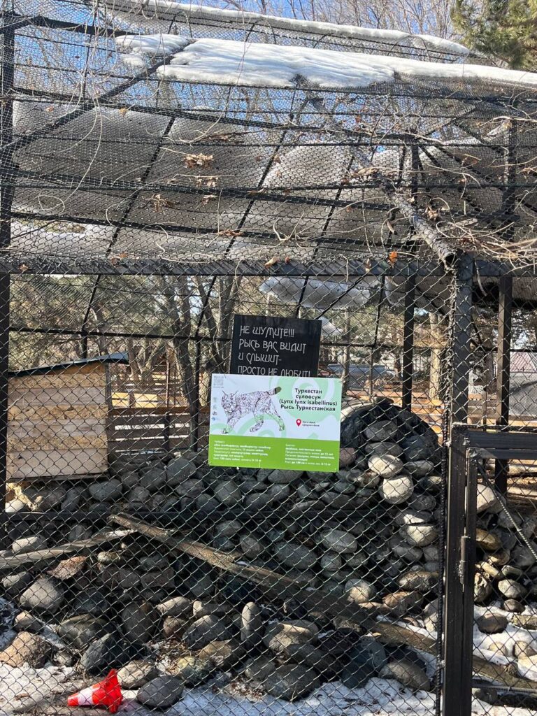 зоопарк фонд бугу эне каракол