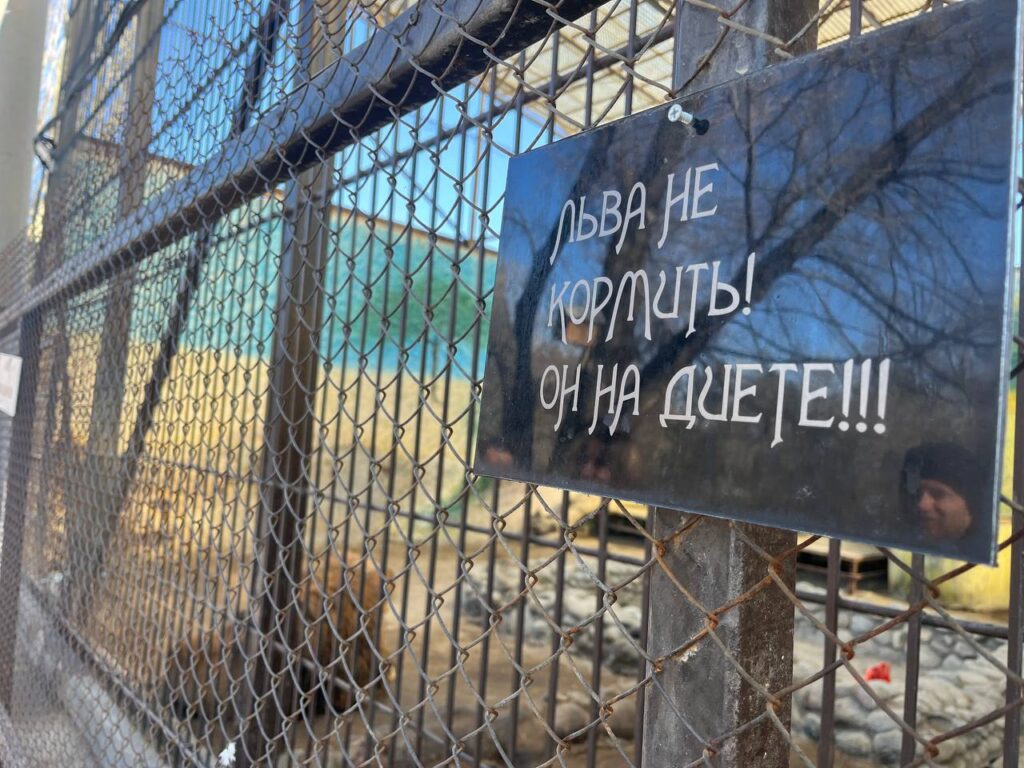 зоопарк фонд бугу эне каракол