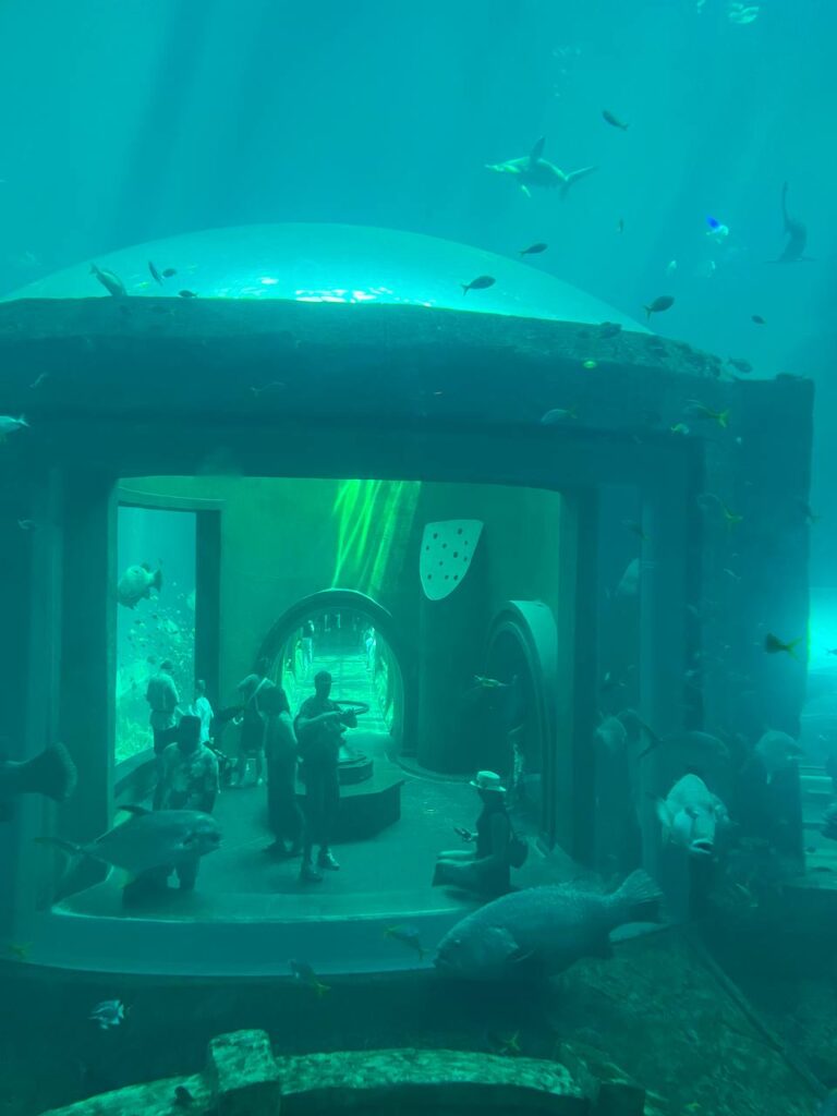фукуок океанариум аквариум