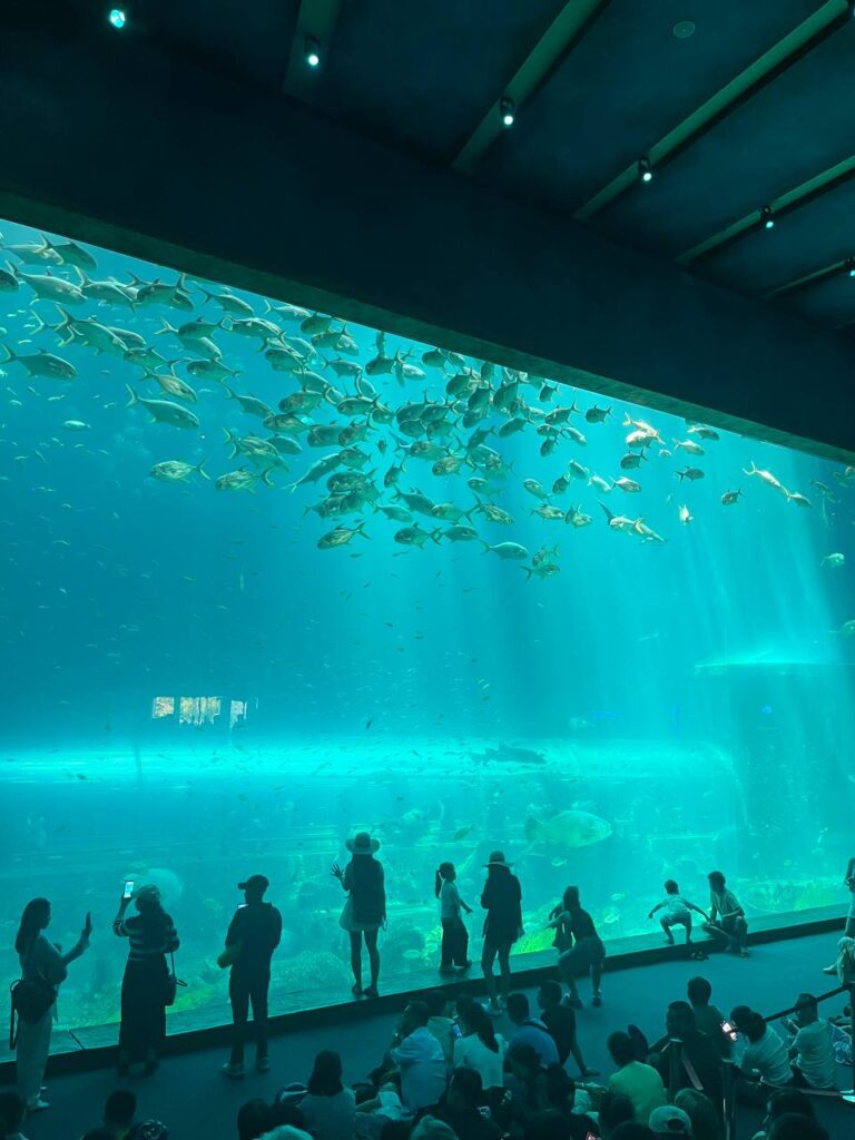 фукуок океанариум аквариум