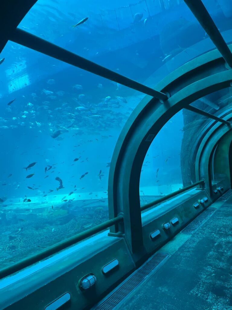 фукуок океанариум аквариум