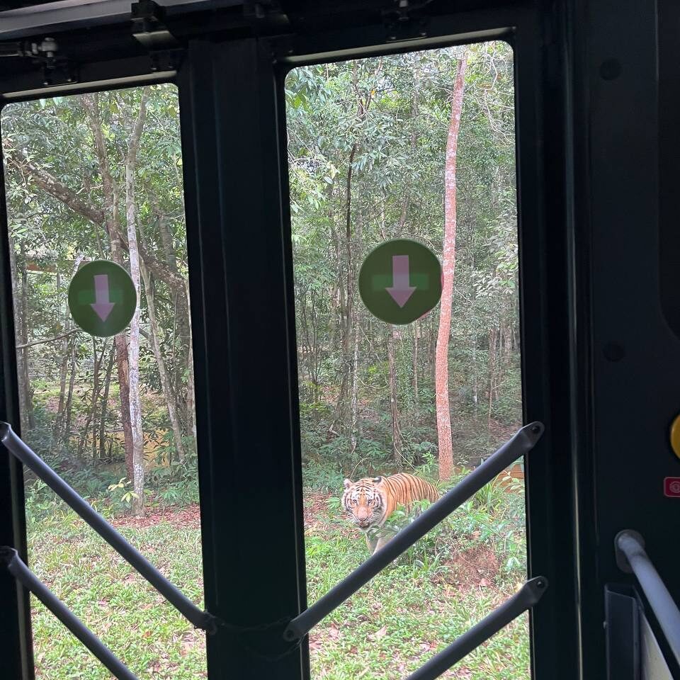 VinPearl Safari сафари парк фукуок