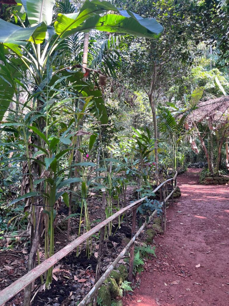 Тур: плантация специй Гоа