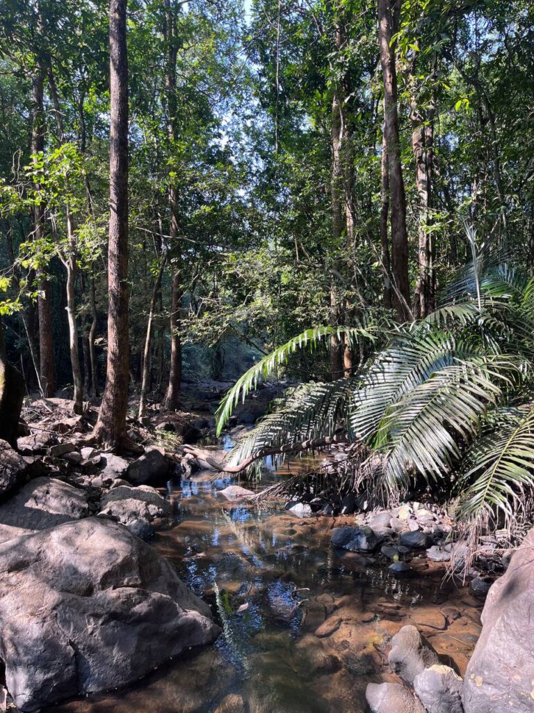Тур: водопад Дудхсагар Гоа