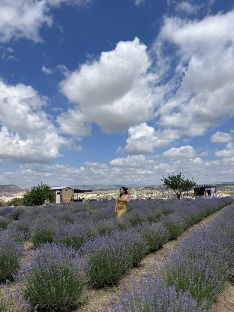 гереме лаванда